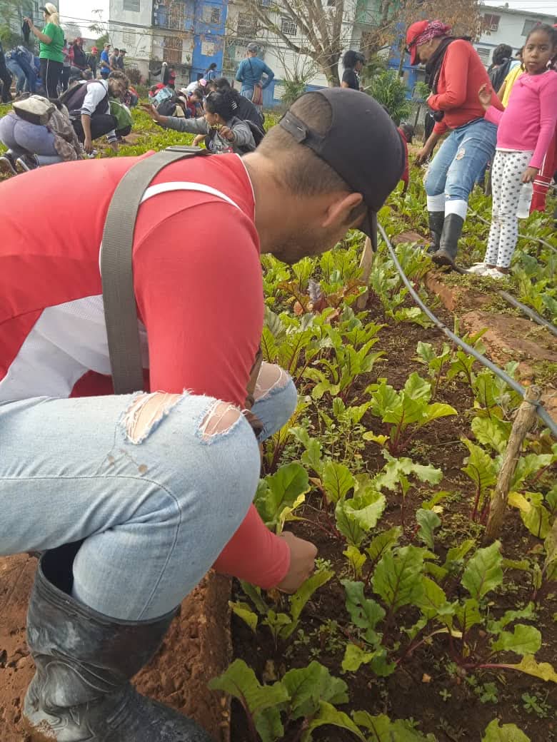 SNTConstCav's tweet photo. 🧑🌾 Producir alimentos es hacer patria.
Rebeldes por convicción, alegres por naturaleza y siempre listos cuando #Cuba llama.
Cada acción suma, cada joven hace la diferencia.
🇨🇺 ¡Así se construye futuro!
ProducirEsVencer #Micons #Geicon https://t.co/eh4fNkIEPQ