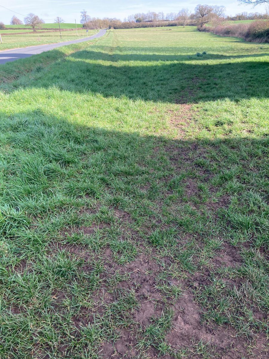 Jason Brewer tweet media