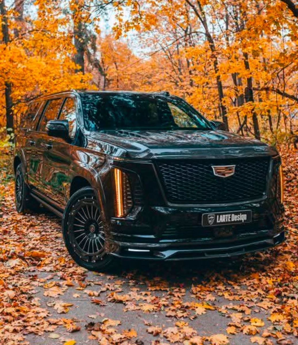 STEVEN T. E@STER tweet media