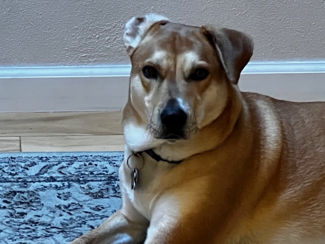 A one ear back kind of day