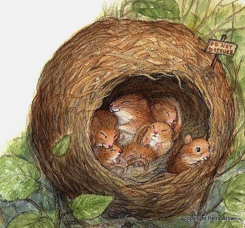 helen warlow tweet media