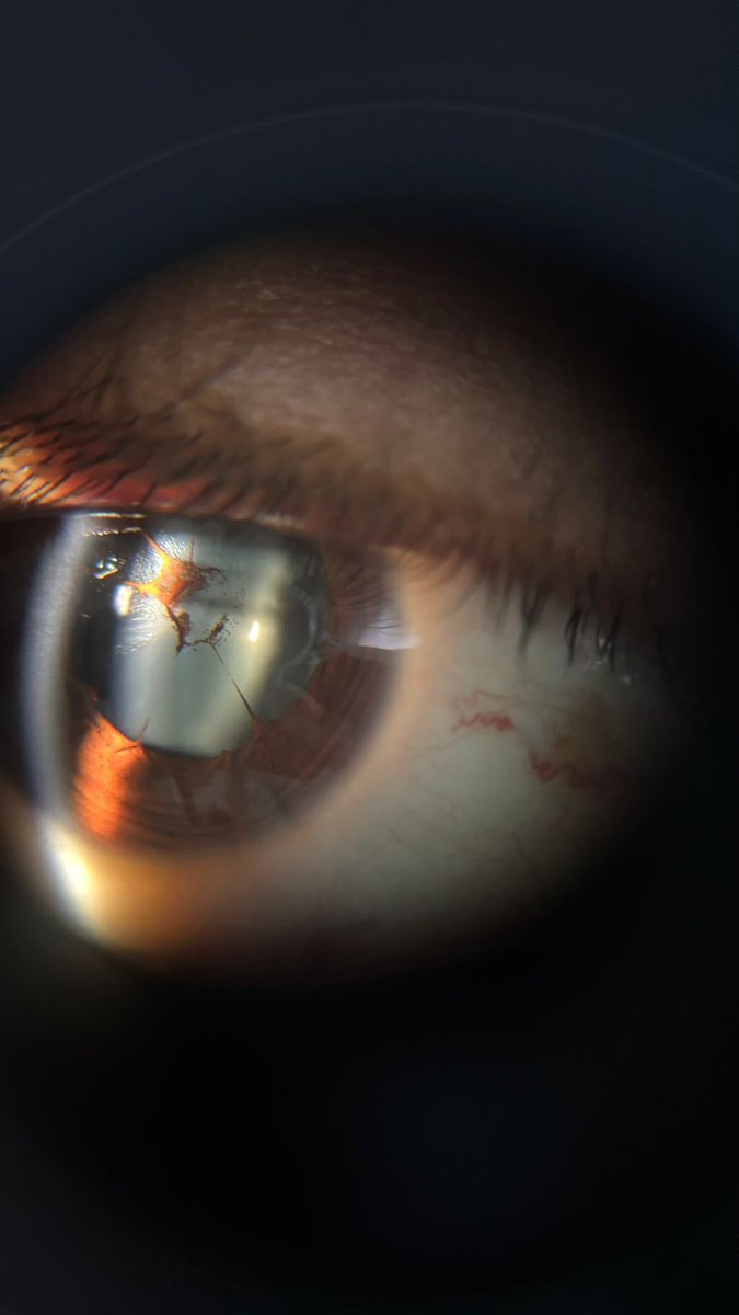 اسماء عبدالله tweet media