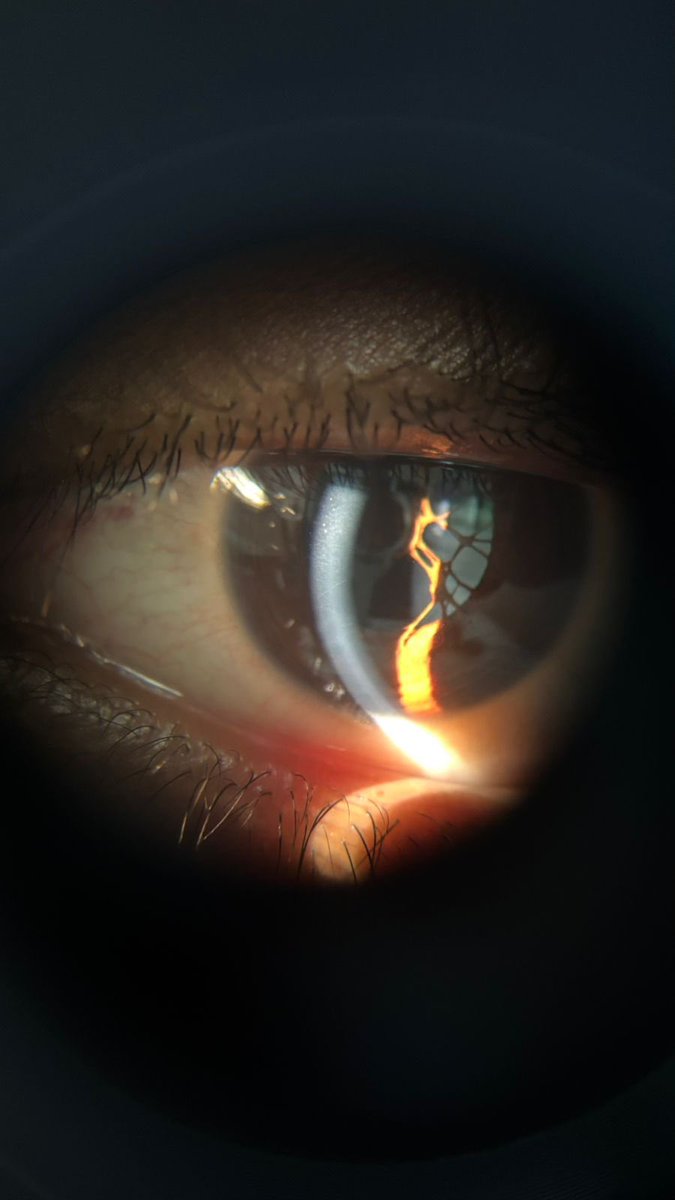 اسماء عبدالله tweet media