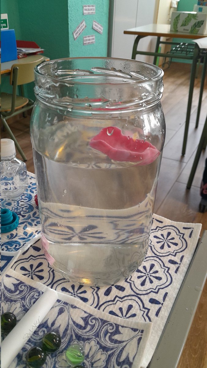 Ceip_SanctiSpiritus tweet media