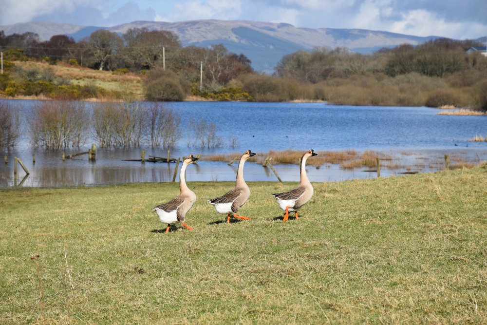 Jack Montgomery Writer tweet media