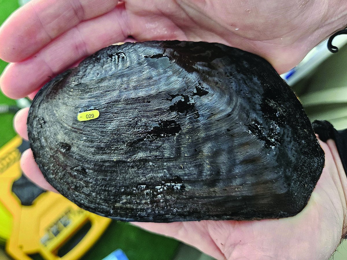 Georgia DOT tweet media