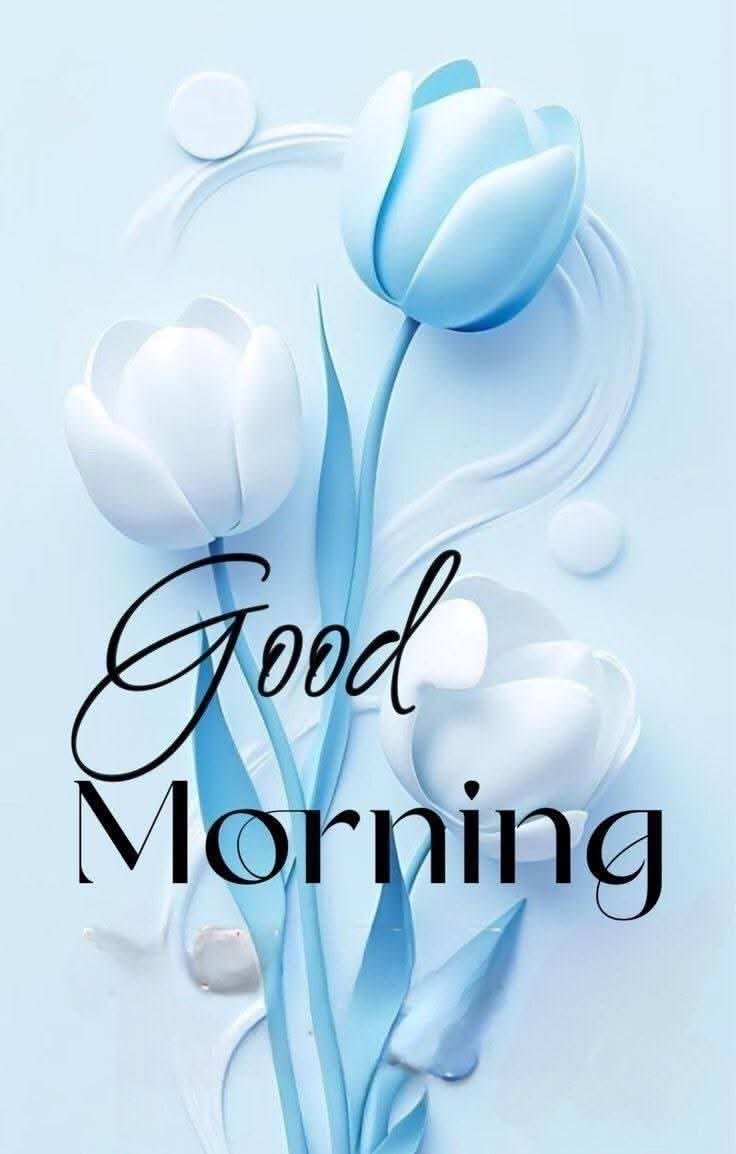 Lotus_Nectar_9's tweet image. Wishing you a day that’s smooth in every way! ☀️ I hope it ends with something even more special than just happiness a true sense of fulfillment. May peace embrace you all day long🌸 Sending you good vibes! #peaceful #Haveagreatday