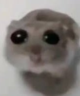 🍑Raw Dog Hero😩 tweet media