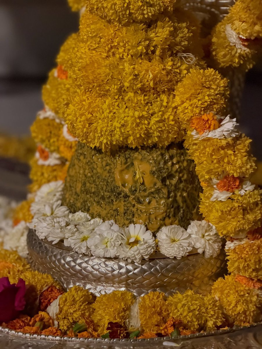 श्री नागेश्वर ज्योतिर्लिंग जी के आज के संध्या आरती दिव्य श्रृंगार दर्शन 02.03.2026