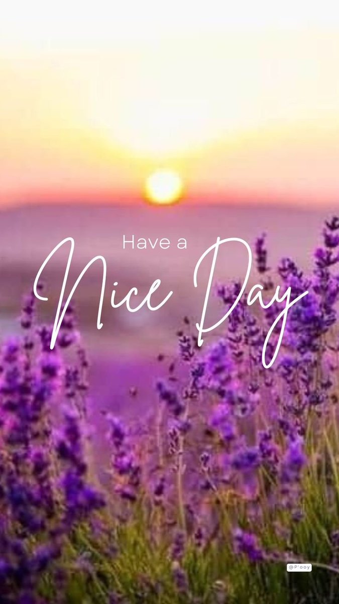 Lotus_Nectar_9's tweet image. Wishing you a day that’s smooth in every way! ☀️ I hope it ends with something even more special than just happiness a true sense of fulfillment. May peace embrace you all day long🌸 Sending you good vibes! #peaceful #Haveagreatday