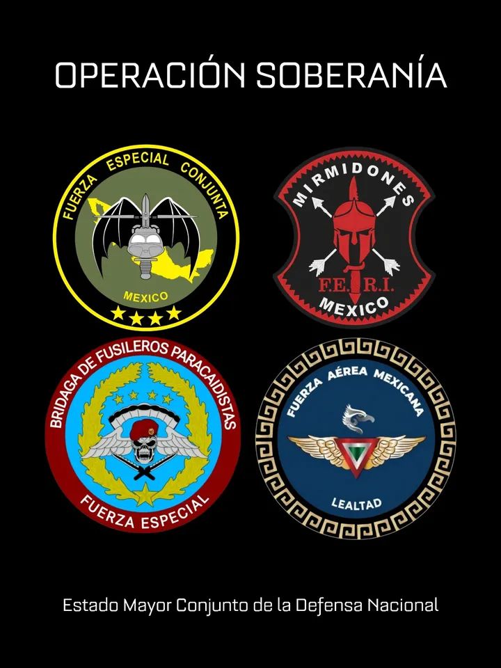 EJTO_FAM_GN's tweet photo. Por si no lo sabías las Fuerzas Elite del Ejército Mexicano 🪖 se toma muy en serio su adiestramiento militar, básico, medio y alto nivel para tener el éxito en todas las Operaciones. 
@Defensamx1 
#GraciasHéroesMexicanos 
#FEC #FERI #Paracaidistas 
#FuerzaAereaMexicana https://t.co/oDkWiCs95Q