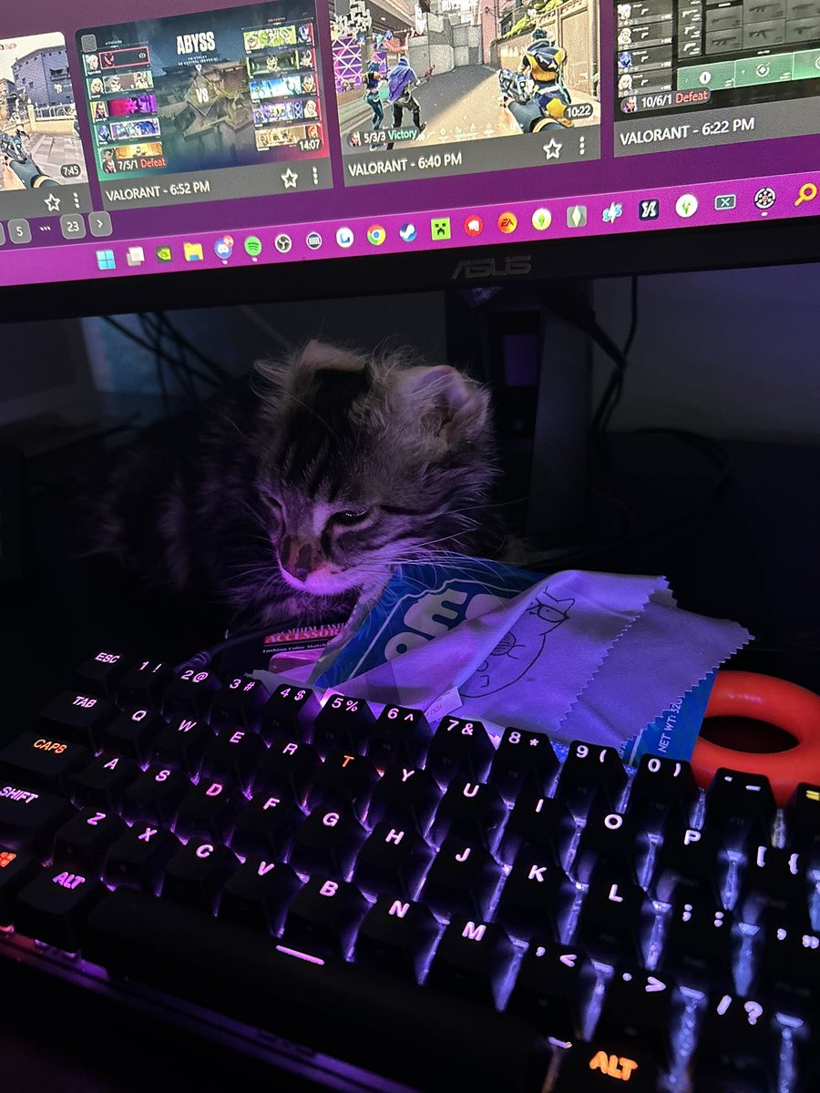 banana 🎄🖤 tweet media