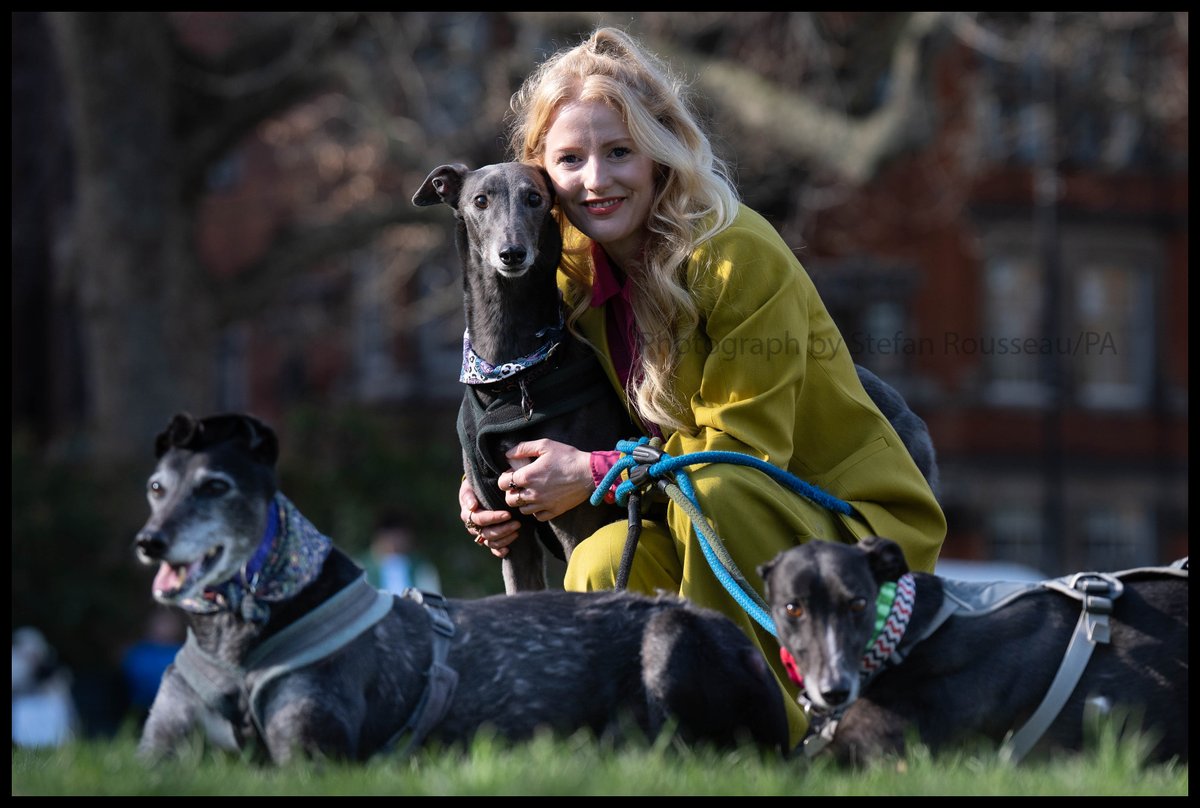 StefanRousseau's tweet photo. Photo du Jour: Newly elected @TheGreenPartyMP for  Gorton &amp; Denton,  Hannah Spencer arrives in Westminster with her four Greyhounds, Judy, Olive, Forrest and Will, before being sworn in at the House of Commons. By Stefan Rousseau/pA https://t.co/yNCkuV7MGV