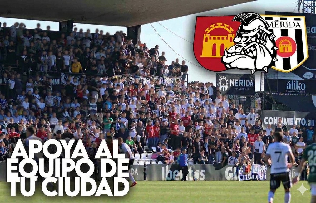 Legiones Sur tweet media