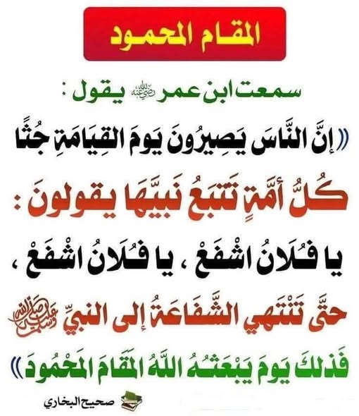 jamil tweet media