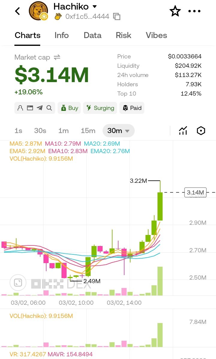 WHALE 🐳 tweet media