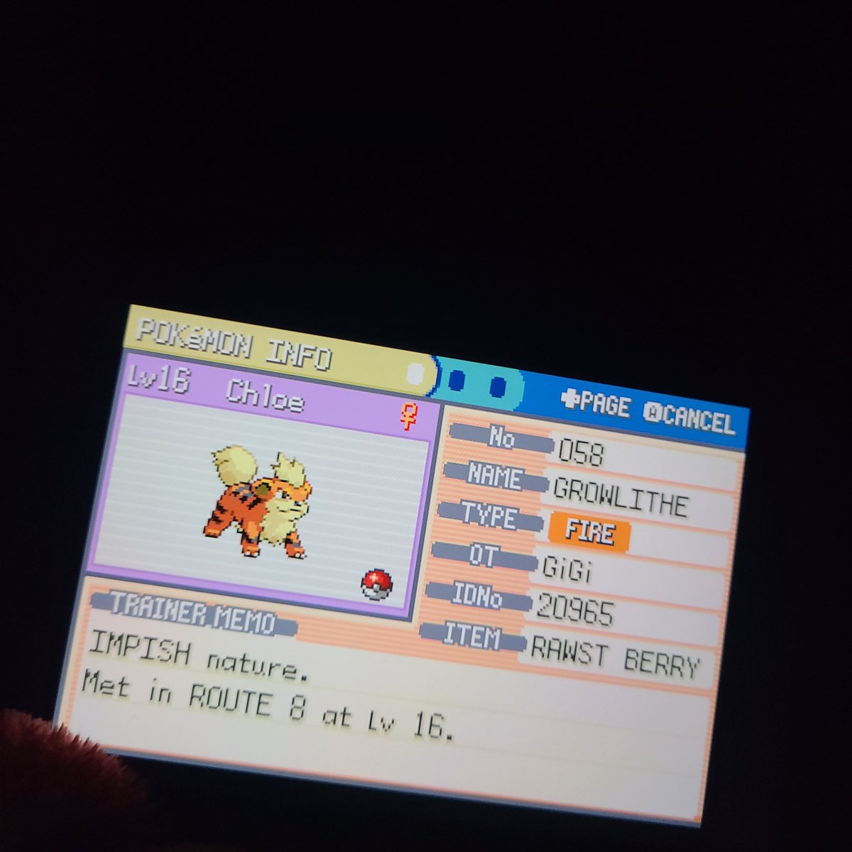 Spansku🐺🐶🇲🇽 (GGCreator) tweet media