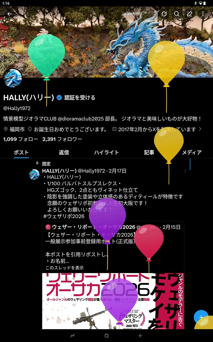 HALLY(ハリー) tweet media