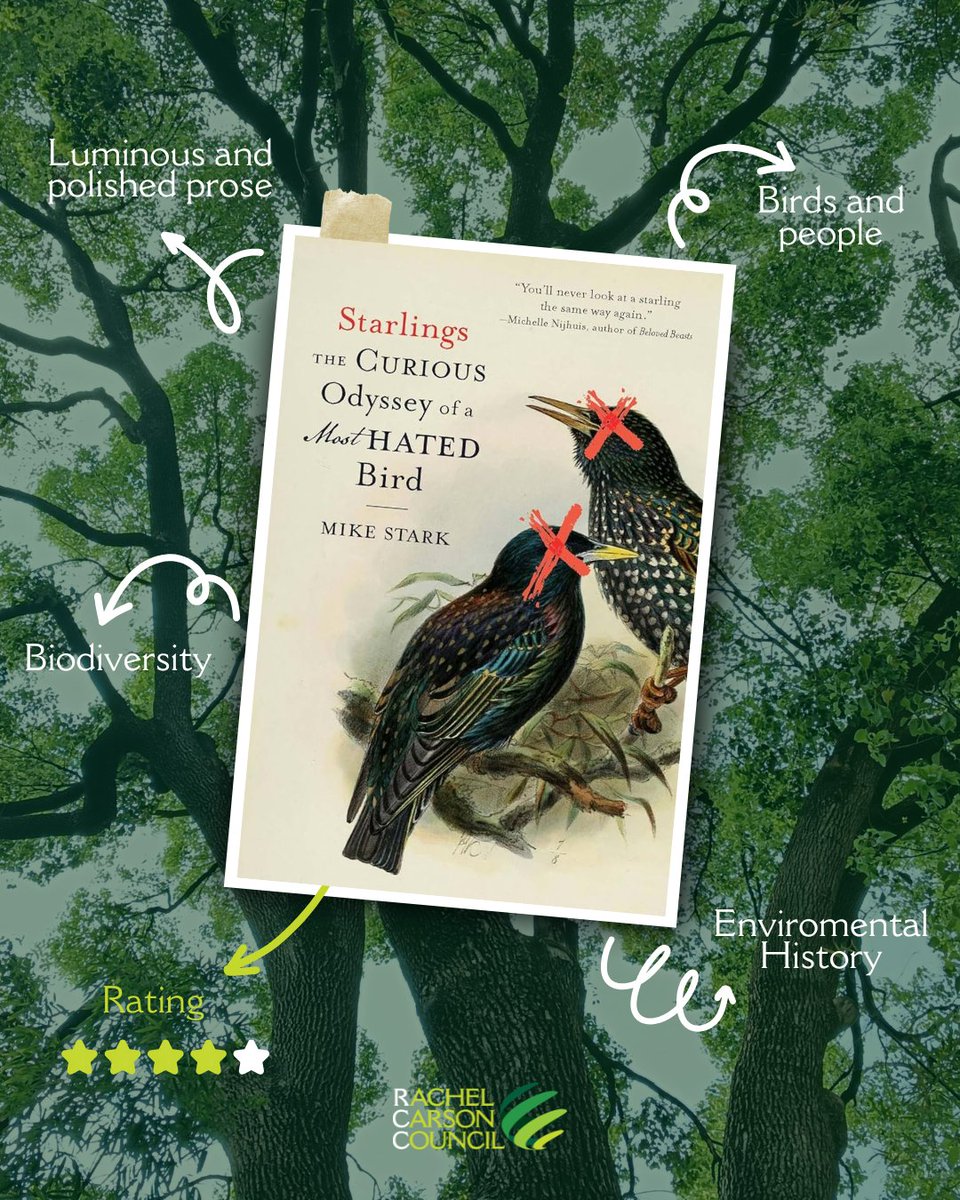 Rachel Carson Council tweet media