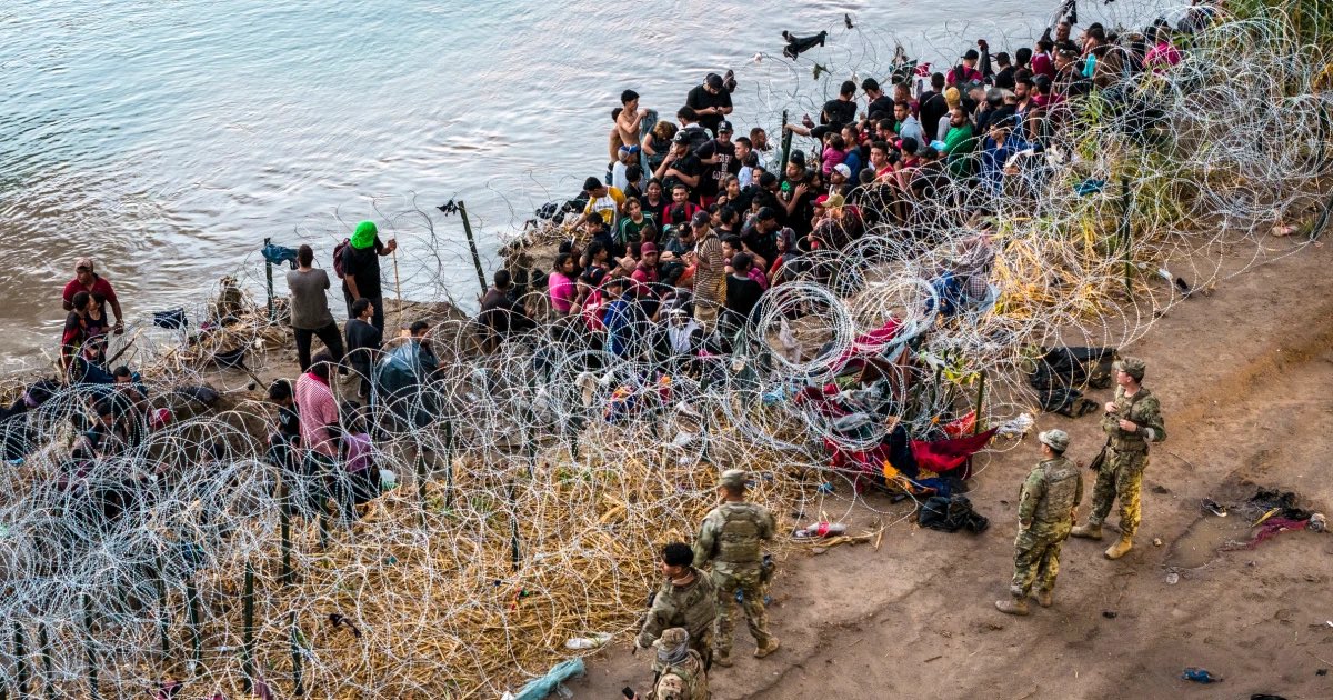 Felicity Revere 🇺🇸 tweet media