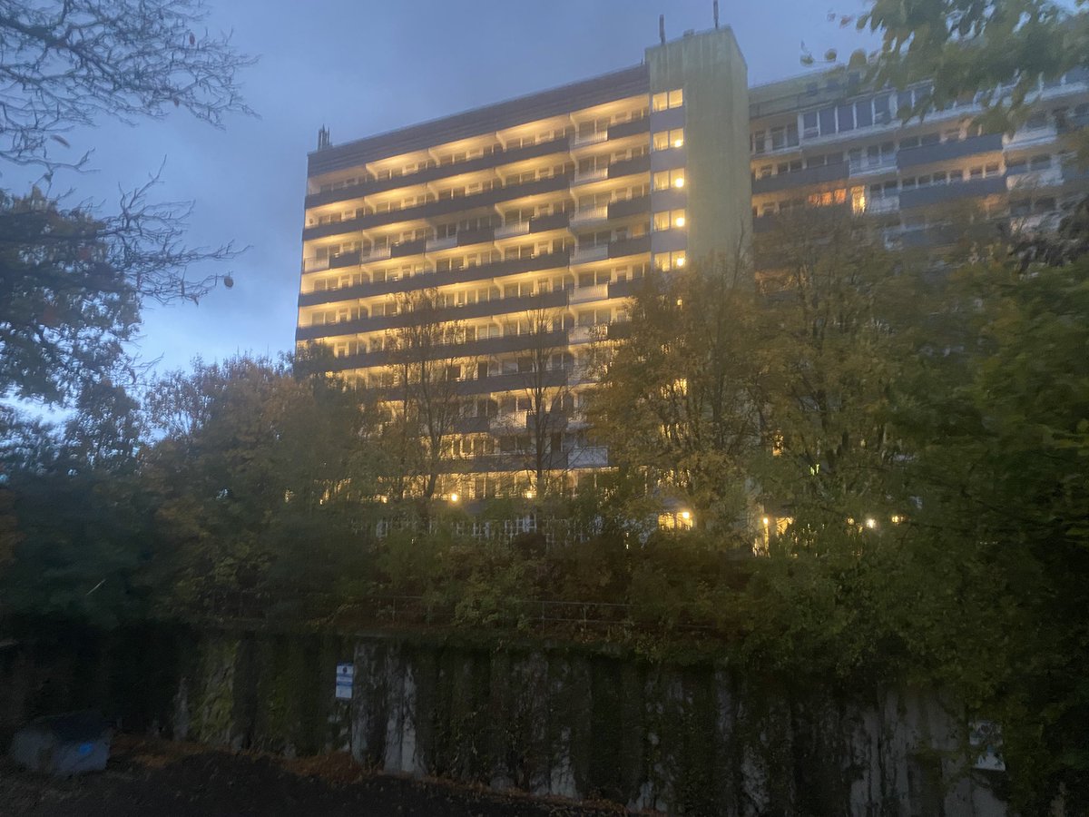 33 Nigg/Nugg tweet media