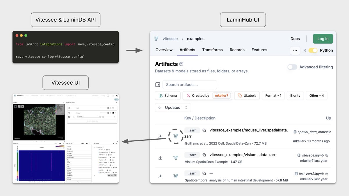 Alex Wolf tweet media