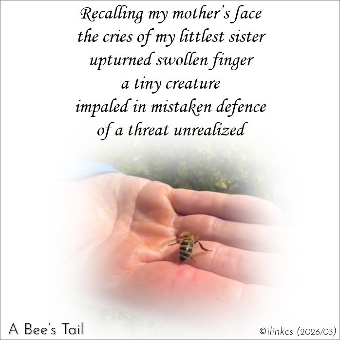 ilinkcs's tweet photo. what’s on my mind
tonight
is a sting

in 3 words …
a bee’s tail

Recalling my mother’s face
the cries of my littlest sister
upturned swollen finger
a tiny creature
impaled in mistaken defense
of a threat unrealized

#poetry #poem #beesting #bees #finger #impaled https://t.co/lgu0fCIuOP