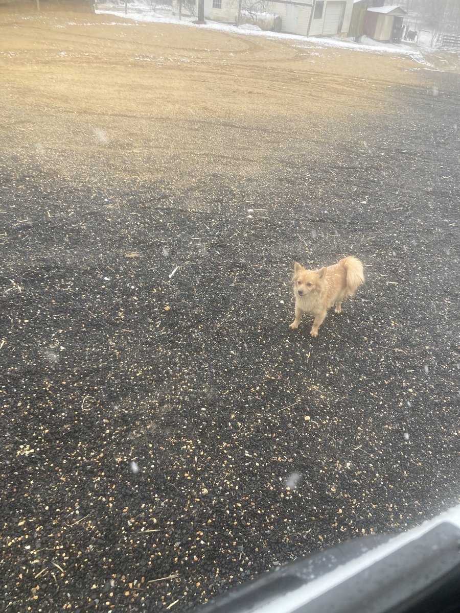 GrantCutler tweet media