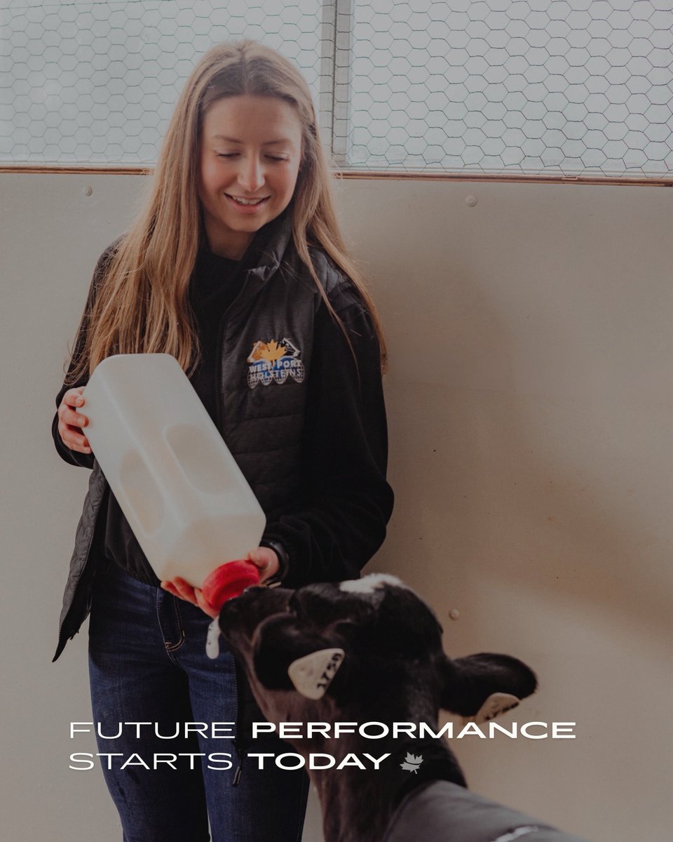 Mapleview Agri Ltd. tweet media