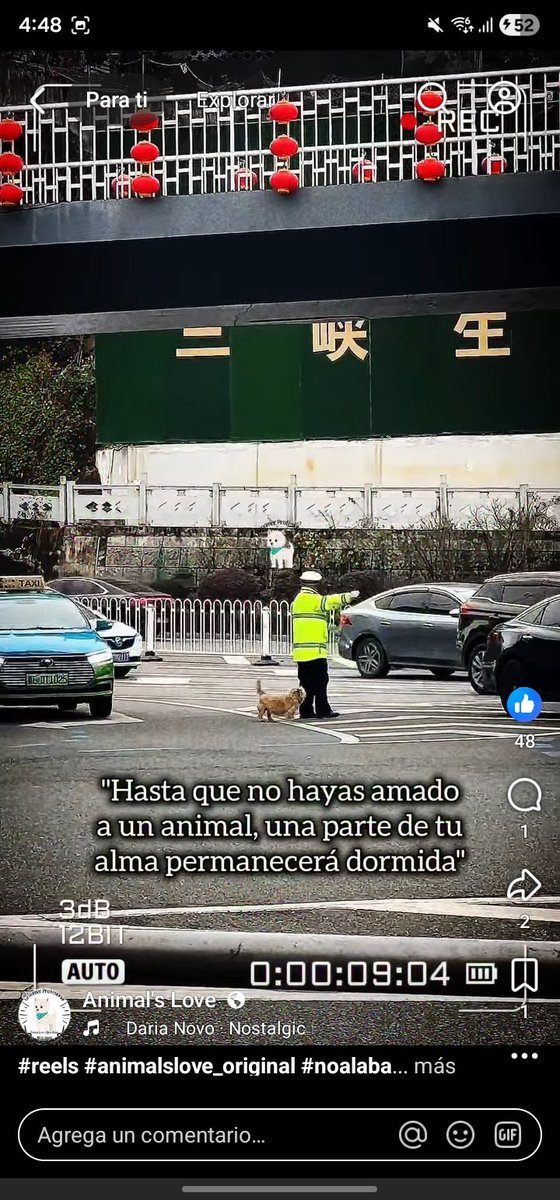 AnimalsLoveOrig's tweet photo. 🌐 https://t.co/T7agXO7AdB https://t.co/Ntb6OpamGy