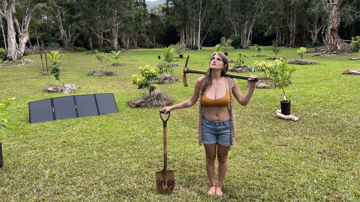 offgridshow's tweet photo. My tropical “bug out” farm getting it planted do you want an update of how big these are now? https://t.co/qz1Luawk0V