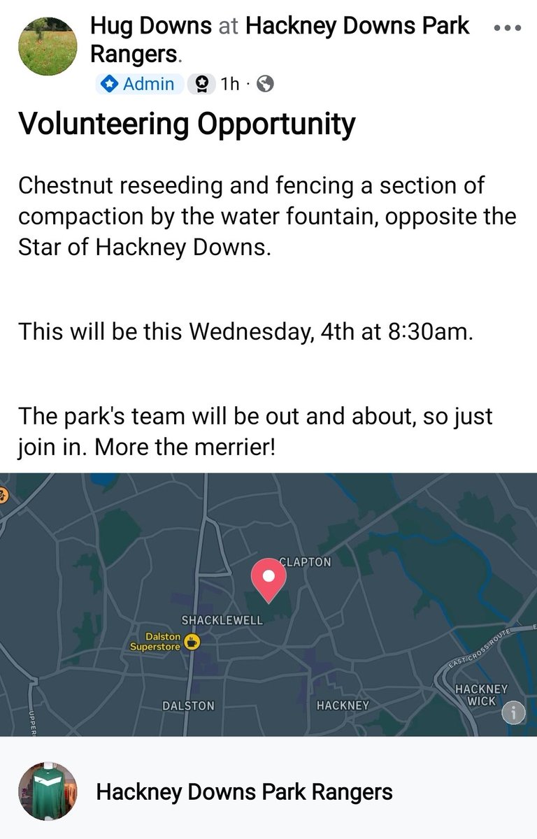 Hackney Downs Park 🌲🌳🌻🌼 tweet media