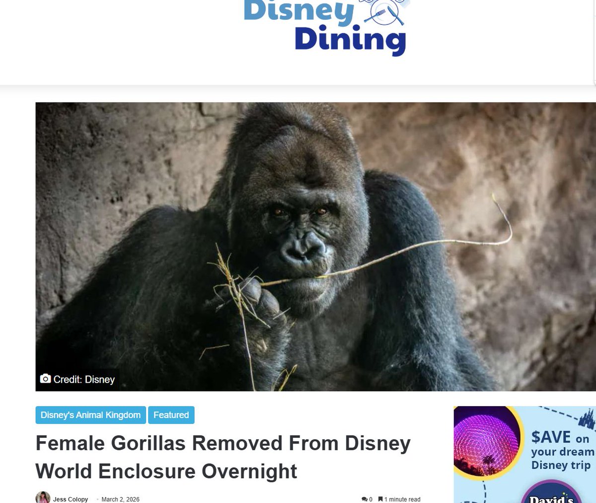 dévôir🥖 tweet media