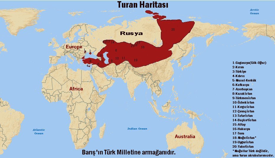 Nilya🇹🇷 tweet media