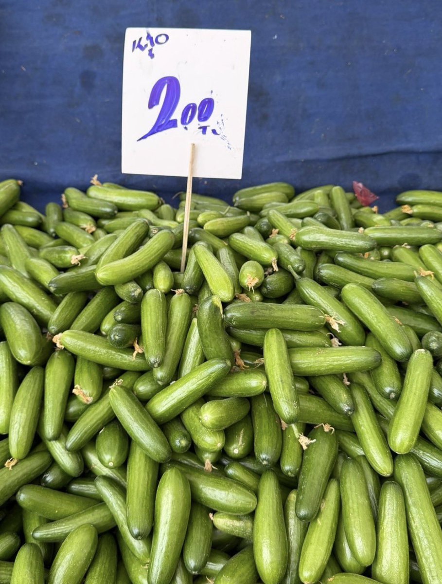 Serap Belovacıklı tweet media