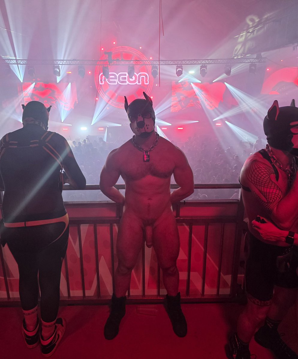 Pup Buday tweet media