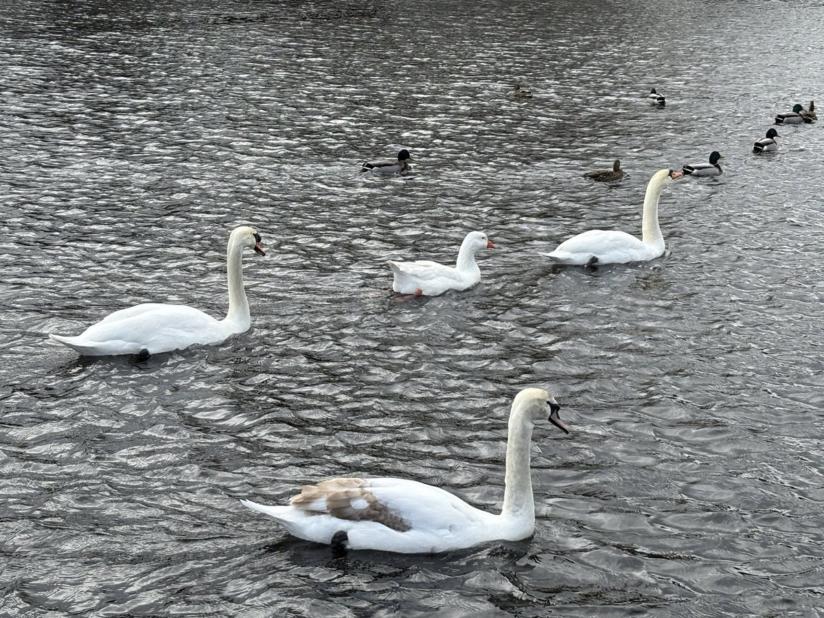 alex  smith tweet media