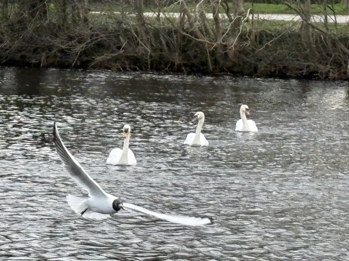 alex  smith tweet media