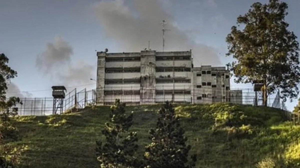 Lilia Camejo G. tweet media