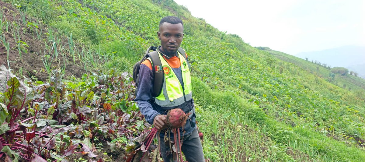 im82665's tweet photo. Phase de récolte de produits agricoles dans l'aire de santé de Sati/katale dans le territoire de Masisi. Un projet d'appui au renforcement de la sécurité alimentaire et  résilience communautaire en faveur de PDIs retournées et membres de la communauté hôte.
#AACOONGD
#EPHASBL https://t.co/GiVcP2HQzB