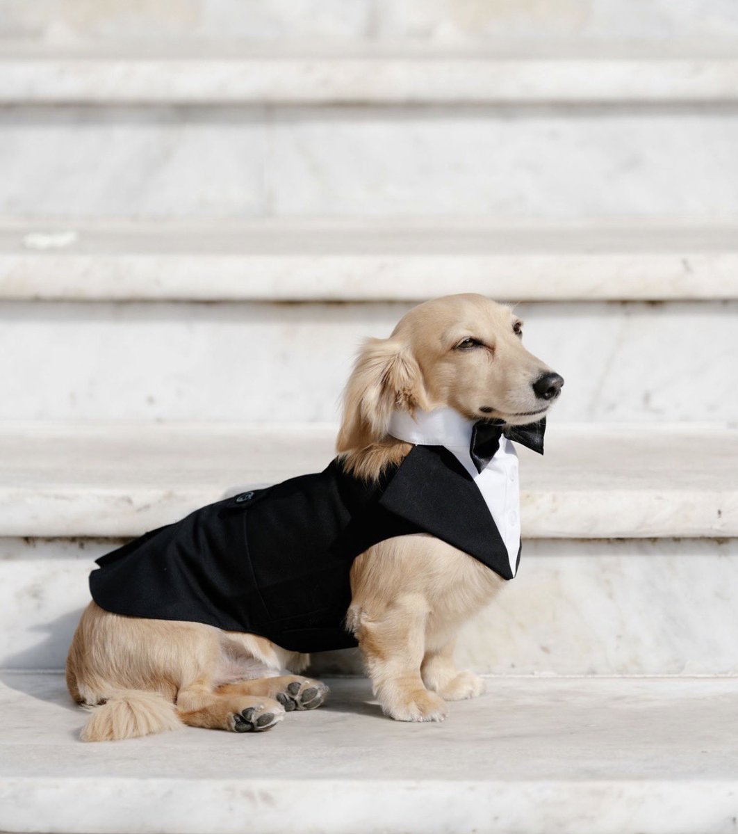 EL DETALLE DE LEO EN EL PASTEL DE MATRIMONIO ESTOY LLORANDO HACE 5 MINUTOS Y MEDIO 

😭😭😭😭😭😭