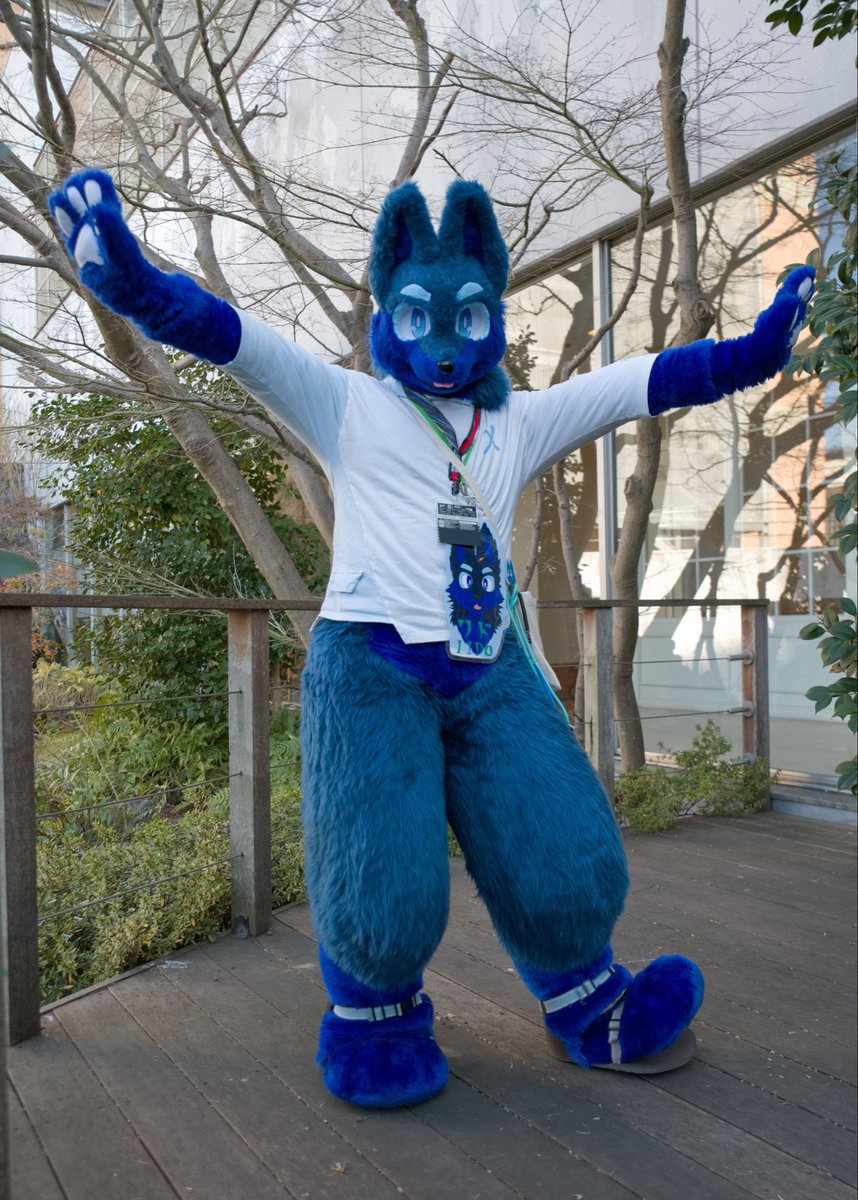 べべんっ！！ #FursuitEveryday #JMoF2026 📸:@Boso2331