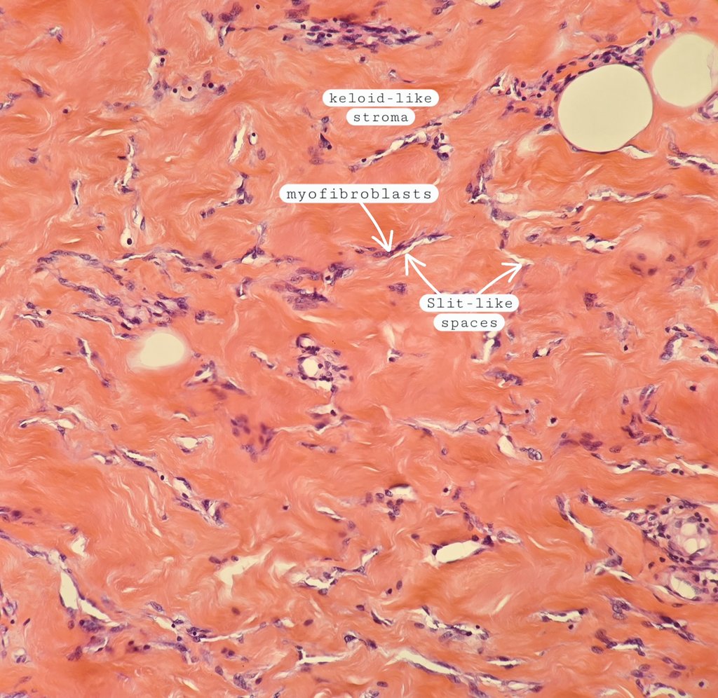 Behnas Malek F.Z tweet media