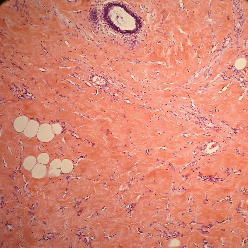 Behnas Malek F.Z tweet media