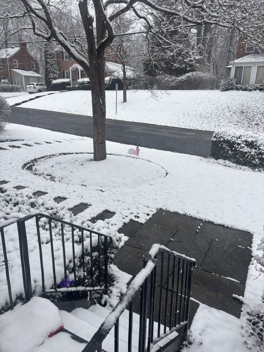 LWashingt0n's tweet photo. @capitalweather Bethesda right now - about an inch of snow on grass https://t.co/30hPa16LLS