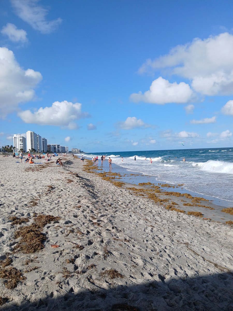 SethMerrow tweet media