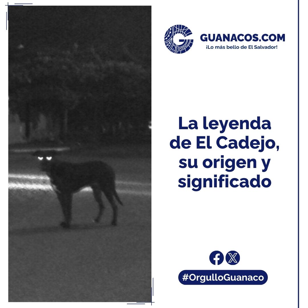 alertux's tweet photo. #Alertux ¡Descubre el origen e historia de El Cadejo, una de las leyendas más populares de El Salvador! 😃
Link: https://t.co/lhhohzOprt
En @GuanacosES encuentras todo sobre leyendas salvadoreñas. 🇸🇻 https://t.co/c16yBmZwfO