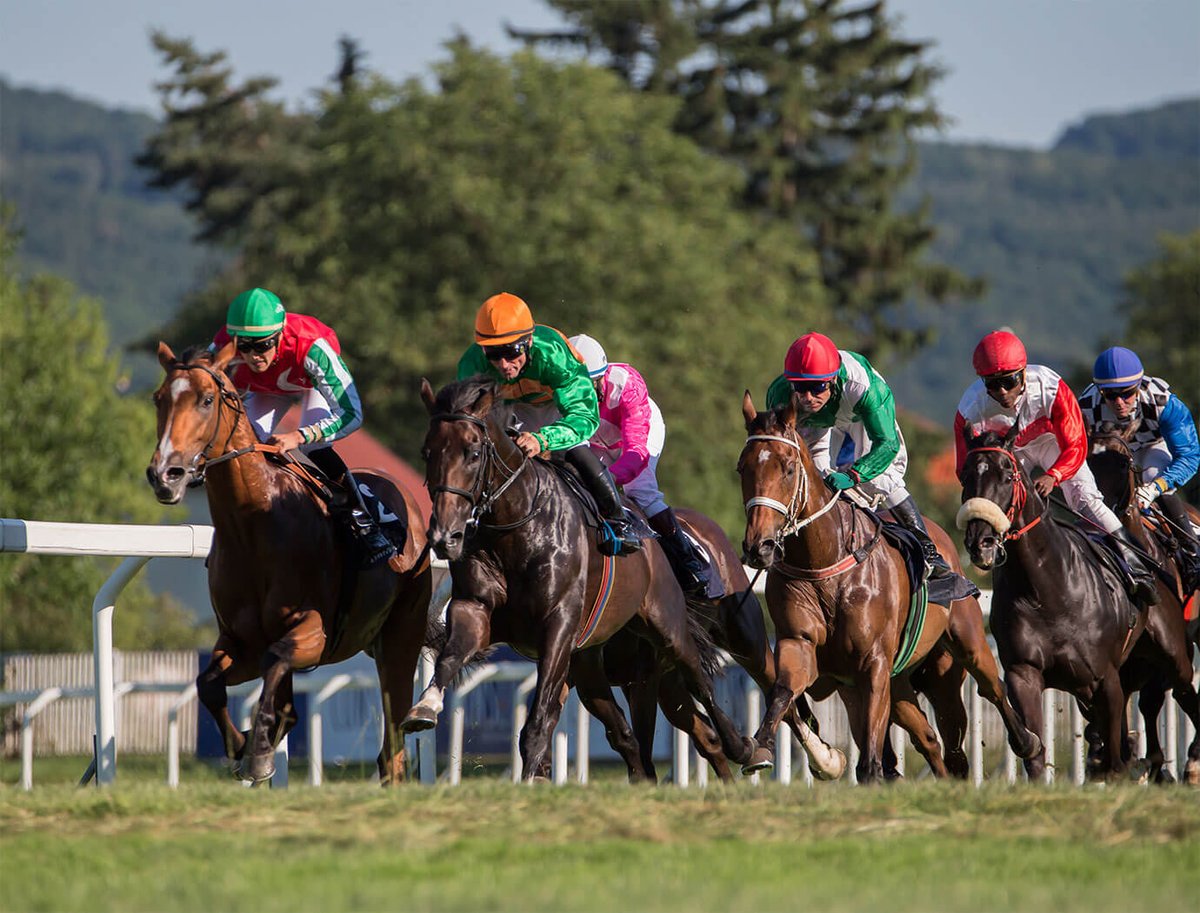 Cloudbet's tweet photo. 🇬🇧 Newcastle Tip: Trainers like Lucinda Russell &amp; N.W. Alexander frequently target the "Go North" series at Gosforth Park! 🐎

Look for high local strike rates - these experts know exactly who is "well-handicapped" for that stiff uphill finish! ⛰️ https://t.co/rIW5NGK3mv