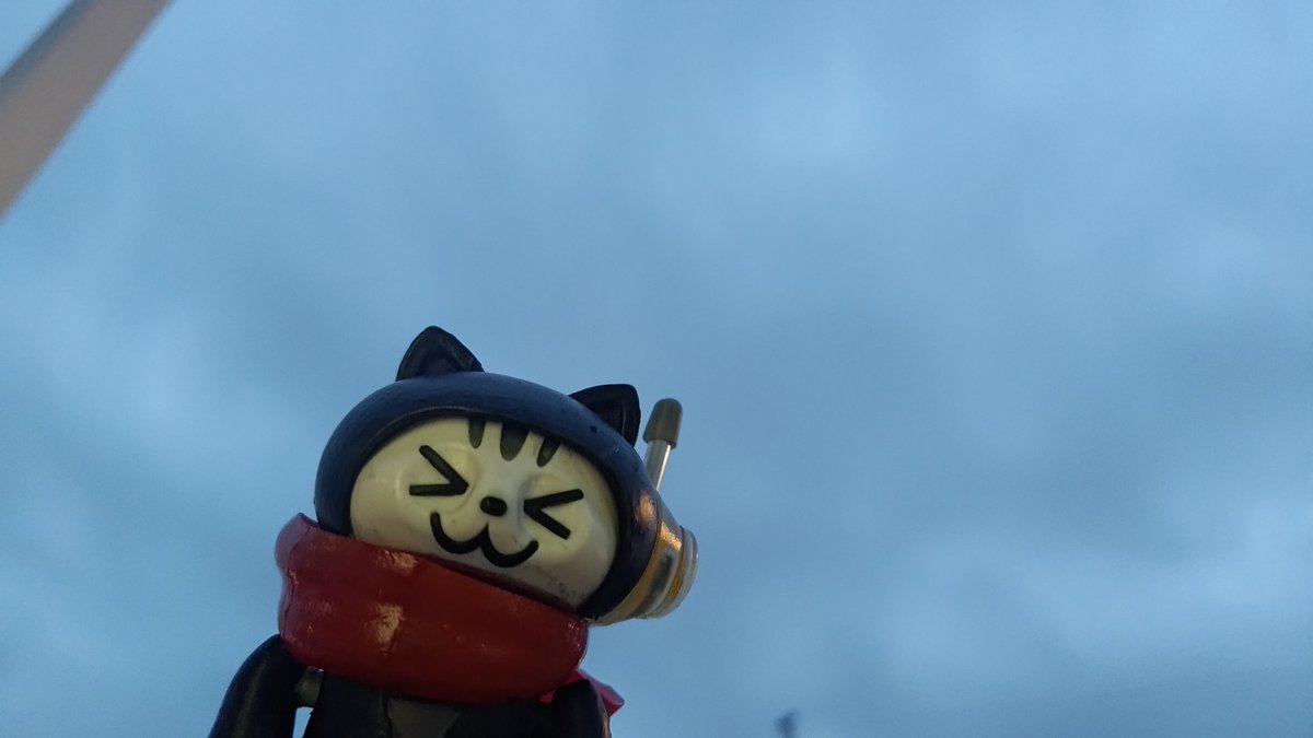 おはようにゃん😺 3月3日、火曜日、ひな祭り、桃の節句にゃけど雨にゃ