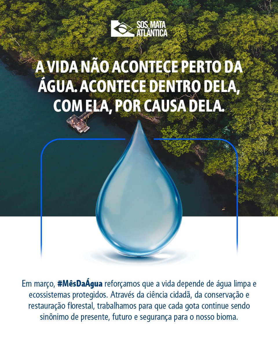 SOS Mata Atlântica tweet media